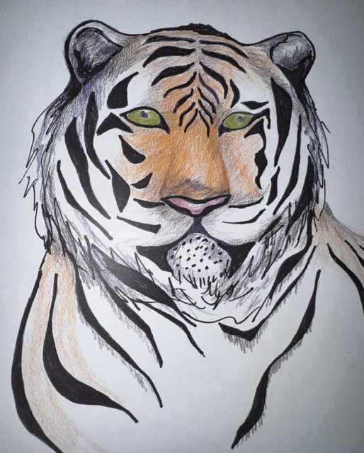Illustrated tiger with green eyes